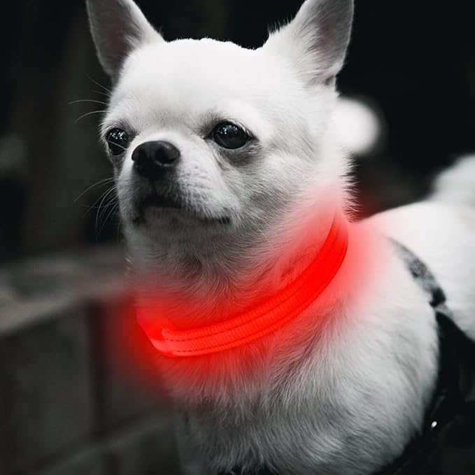 BSEEN Light Up Dog Collar, Reflective LED Dog Collar Rechargeable Glowing Puppy Collars for Small