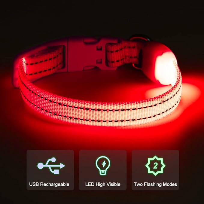 Light Up Dog Collar for Small Dogs - Rechargeable Puppy LED Collar Glowing Dog Lights for Night