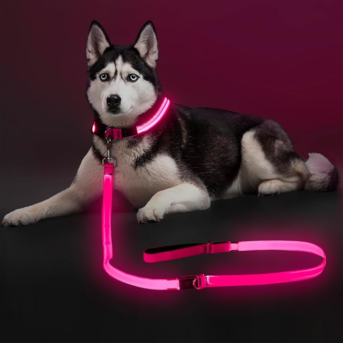 Colaseeme Light Up Dog Leash, LED Pet Leashes USB Rechargeable, Glow Safety Dogs Lights at Night