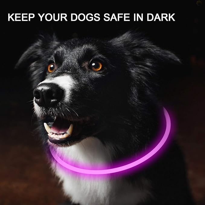 2-Pack LED Dog Collar, Light Up Dog Collars,Rechargeable Dog Lights for Night Walking，Universal