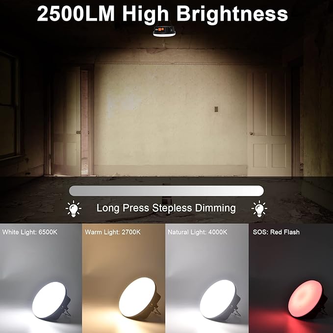 10000mAh 30W Rechargeable Camping Light with Remote 2500LM 2700/4000/6500K LED Camping Lantern