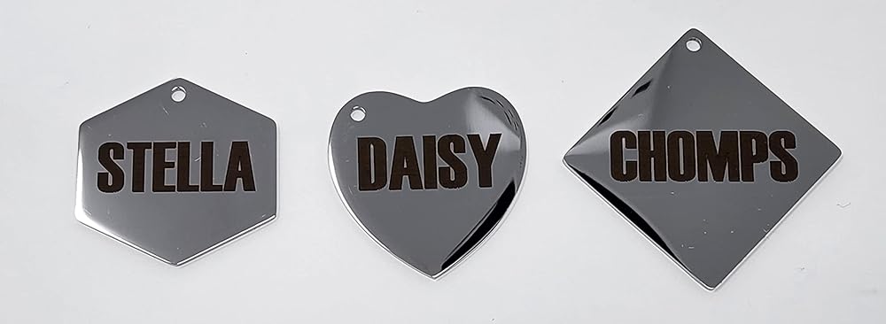 Dr. Fremont's Stainless Steel ID Dog Tags Engraved for Pets Personalized for Cat or Dog Collar Bold