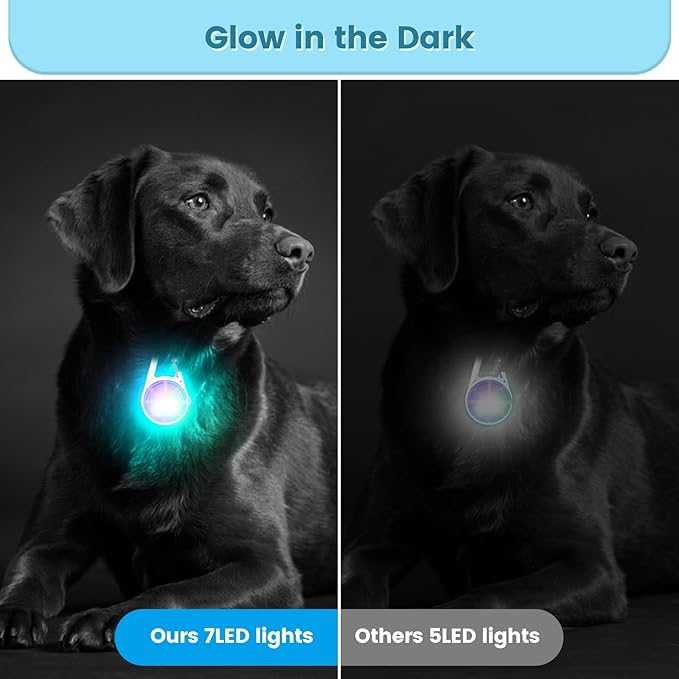2Pack Dog Lights for Night Walking Dog Collar Light Clip on Glow in The Dark with 4Modes & RGB