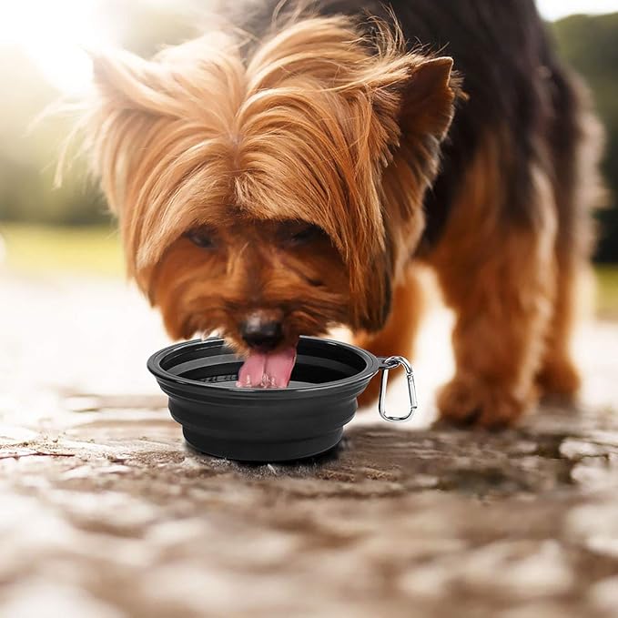 Kytely Large Collapsible Dog Bowls 2 Pack, 34oz Foldable Dog Travel Bowl, Portable Pet Water Food