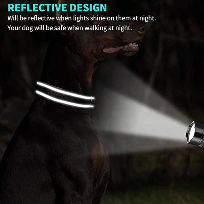 Custom Reflective Dog Collars with Embroidered Name and Phone Number, Soft Neoprene Padded