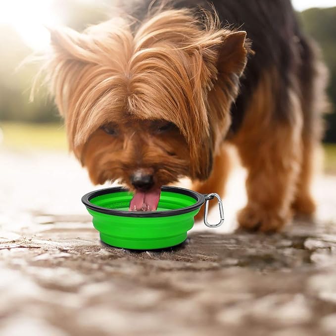 Kytely Large Collapsible Dog Bowls 2 Pack, 34oz Foldable Dog Travel Bowl, Portable Pet Water Food