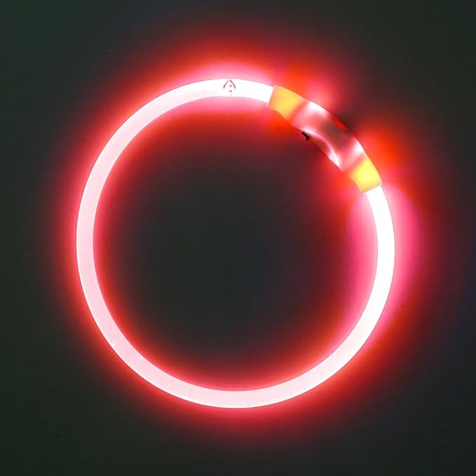 BSEEN Light Up Dog Collar - Rechargeable LED Dog Collar - 360° Glow in The Dark Pet Collar for