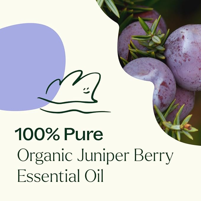 Plant Therapy Organic Juniper Berry Essential Oil 100% Pure, Undiluted, Natural Aromatherapy