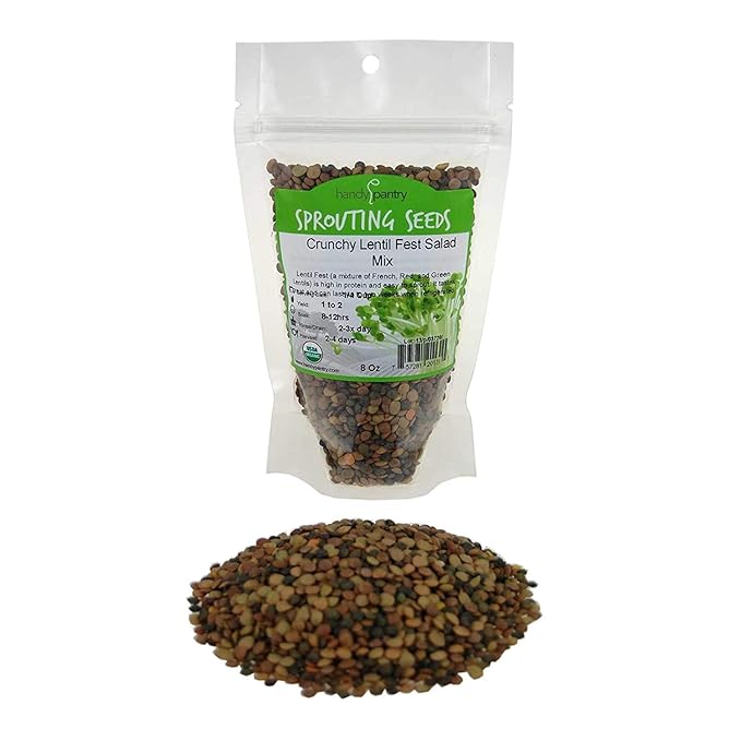 Crunchy Lentil Fest Sprouting Seed Mix - 8 Oz - Handy Pantry Brand - Organic - Green, Red & French