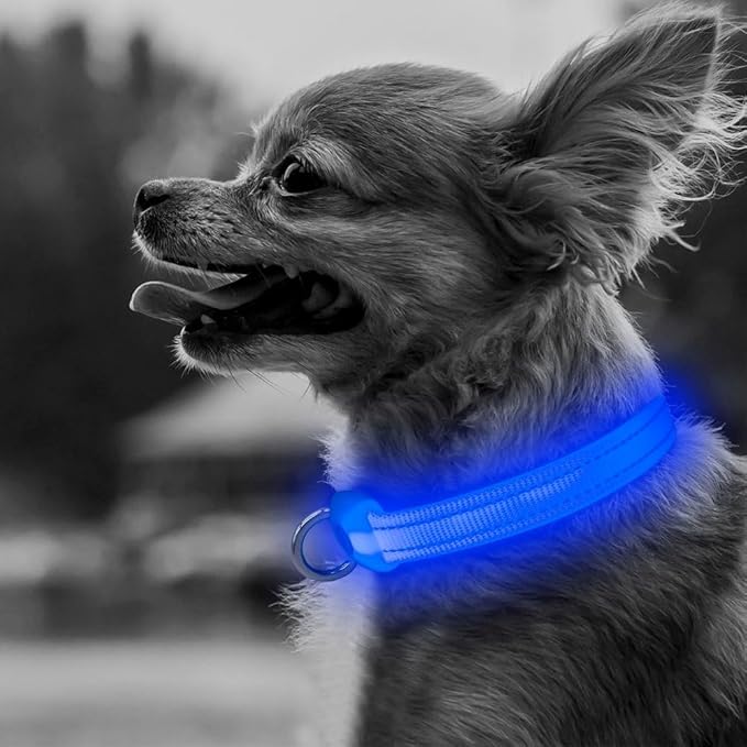 BSEEN Light Up Dog Collar, Rechargeable LED Dog Collar Reflective Glowing Pet Collar for Puppies &