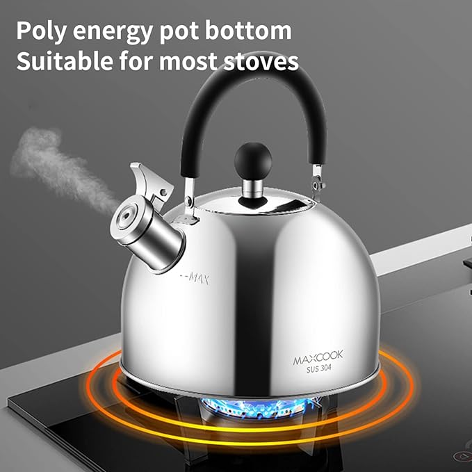 304 Stainless Steel Whistling Tea Kettle 2.1 Quart/2L, Suitable to Boiling Water & Tea on Induction