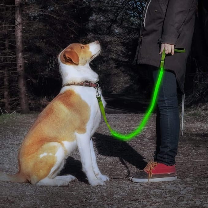 Candofly Glowing LED Dog Leash, Rechargeable Pet Leash with Lights, 4 Ft Light Up Dog Leash for