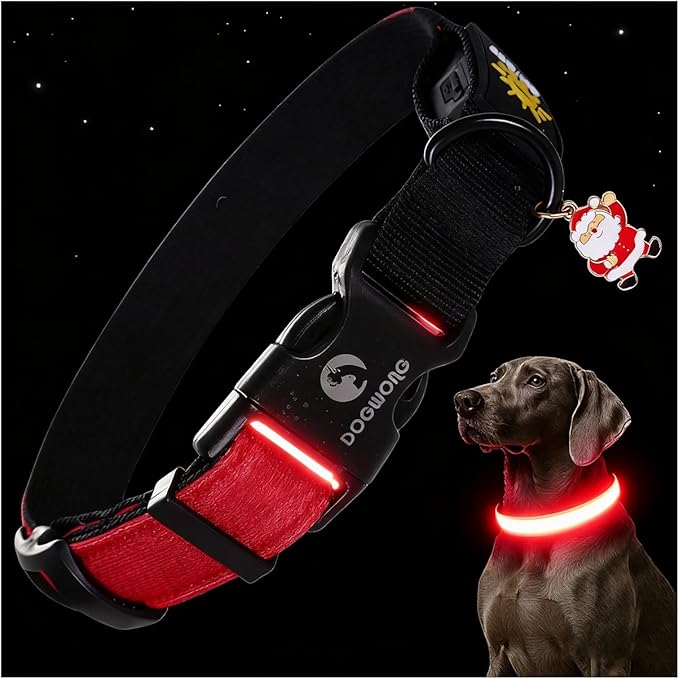DOGWONG LED Dog Collar - Heavy Duty Light up Collars - Rechargeable Waterproof - Lighted Dog Collar