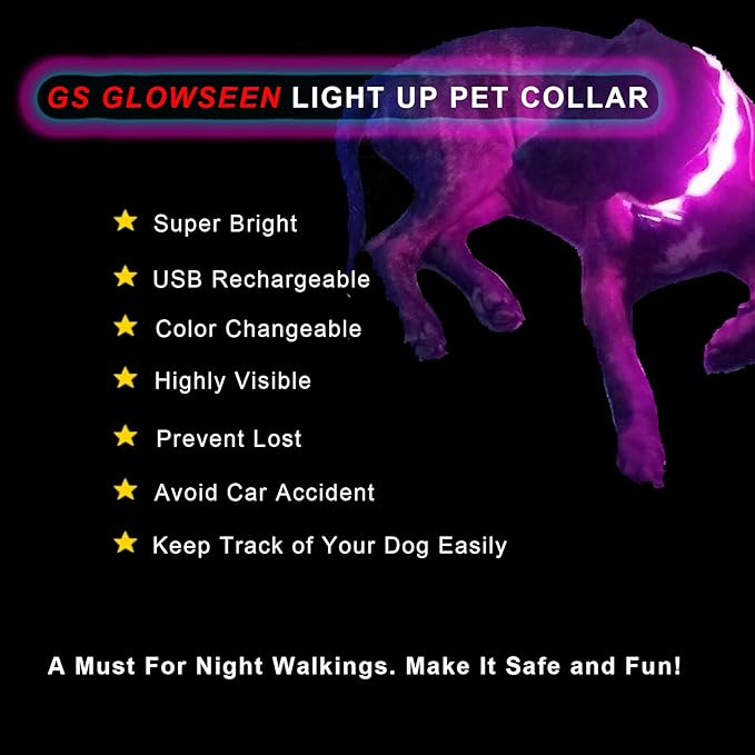 Led Dog Collar Rechargeable USB-C, Super Bright Multi-Color Light Up Collar, Weatherproof Lighted