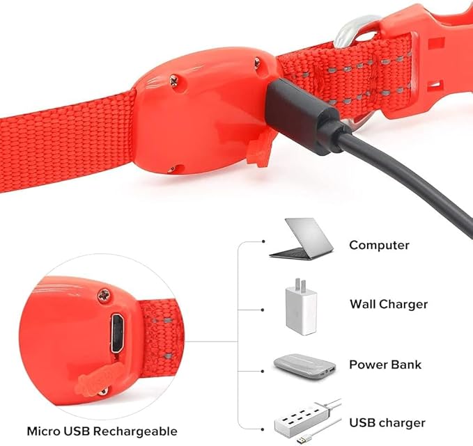 BSEEN Light Up Dog Collar, Reflective LED Dog Collar Rechargeable Glowing Puppy Collars for Small