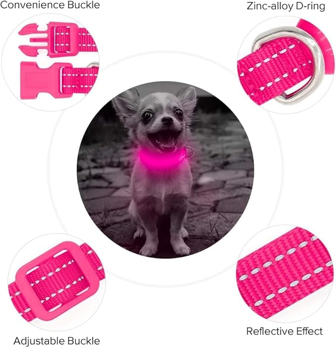 BSEEN Light Up Dog Collar - Reflective LED Dog Collar Rechargeable Glowing Pet Collar for Puppies &