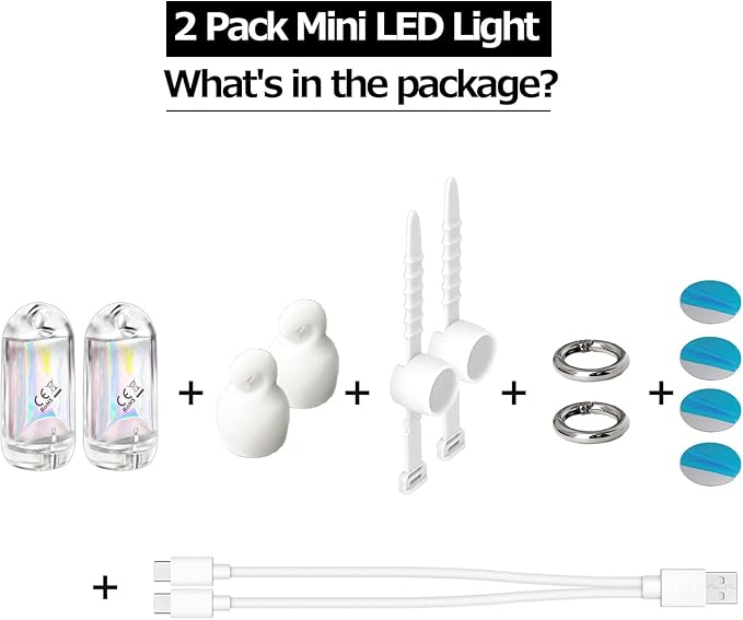 USB Mini LED Lantern, 2 Pack Waterproof EDC Keychain LED Flashlight for Camping, Type-C