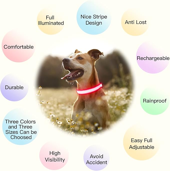 YFbrite Light up Dog Collar, USB Rechargeable LED Puppy Collar Super Bright Adjustable Glowing Dog