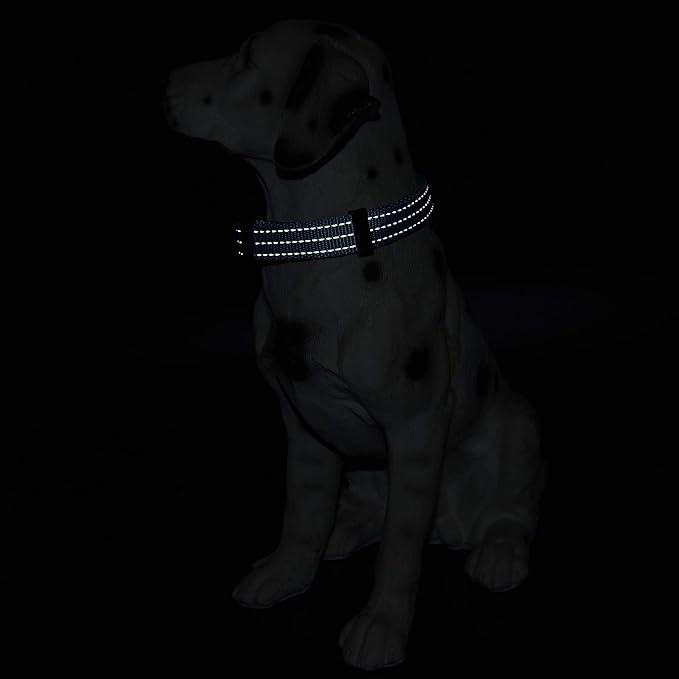 Mile High Life Dog Collar | Nylon Reflective Dog Collars | Light Weight Puppy Collars | Blue Dog