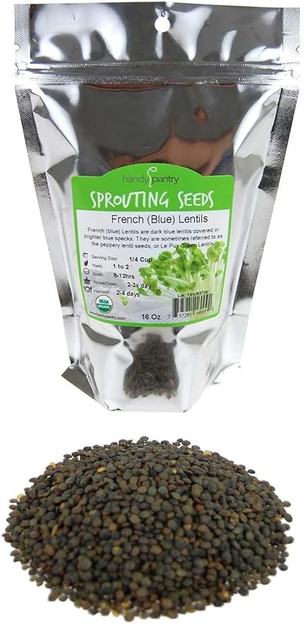 Organic French Lentil Sprouting Seeds - 1 Lb - French Lentils - Perfect for Edible Seeds