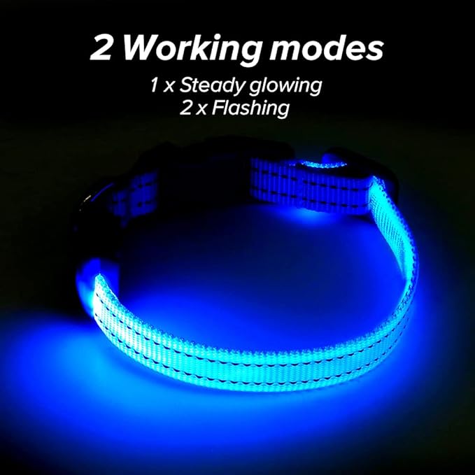 BSEEN Light Up Dog Collar, Rechargeable LED Dog Collar Reflective Glowing Pet Collar for Puppies &