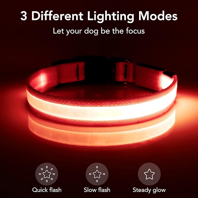 Vizpet LED Dog Collar, Light Up Dog Collar Adjustable USB Rechargeable Super Bright Safety Light