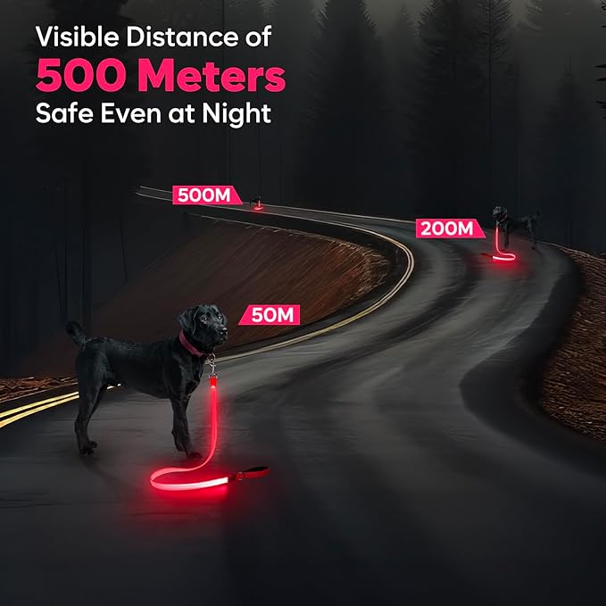 LED Dog Leash, 4 Ft Light Up, USB Rechargeable, Waterproof, Nylon Reflective with Padded Handle