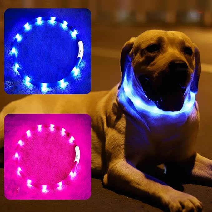 2 Pack Light Up Dog Collars with 1640 Feet of Visibility - Brightest Glow Dog Collar Light