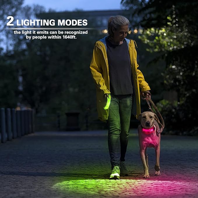 2 Pack LED Light for Dog Leash Harness, USB Rechargeable Light Up Collar with Nylon Stickers, Glow