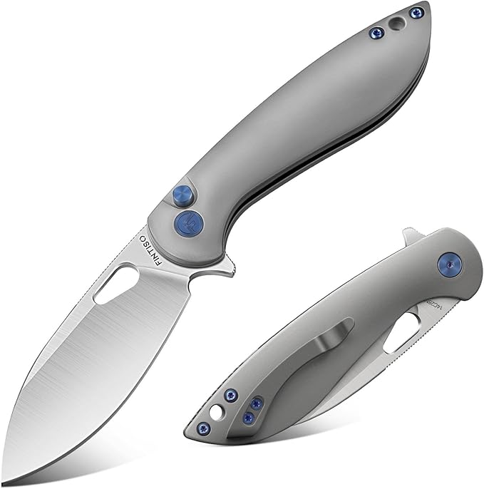 FINTISO Pocket Knife, 3.1" Premium 14C28N Blade Folding Knife with Button Lock, EDC Knife with