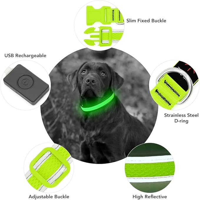 YFbrite Light up Dog Collar, USB Rechargeable LED Puppy Collar Super Bright Adjustable Glowing Dog