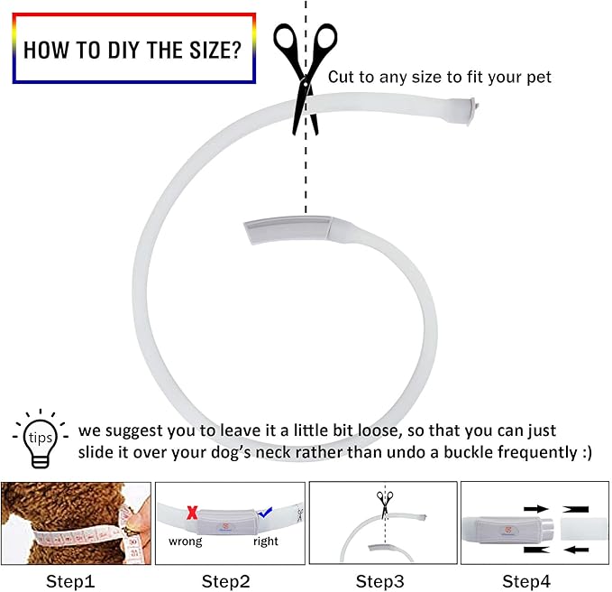 Led Dog Collar Rechargeable USB-C, Super Bright Multi-Color Light Up Collar, Weatherproof Lighted