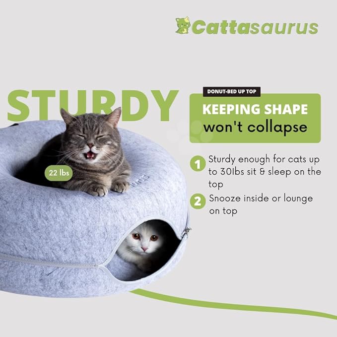 CATTASAURUS Peekaboo Cat Cave for Multiple & Large Cats Up to 30-45 Lbs, Scratch Detachable &