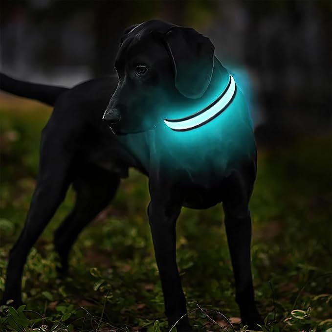 MASBRILL Light Up Dog Collars - LED Dog Collar Rechargeable Lighted Dog Collar Resistant-Water