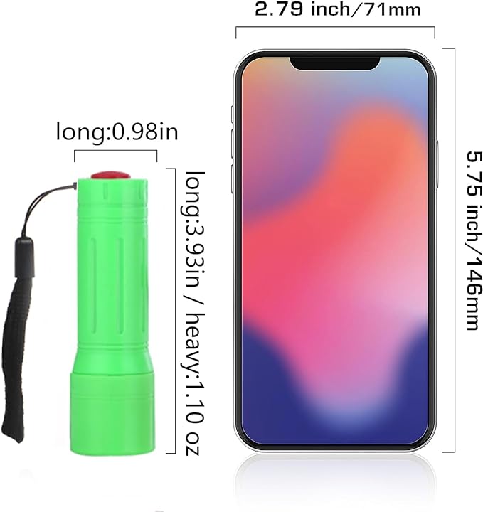 9-LED Mini Flashlight, Small Multicolor Flashlights with Lanyard, Batteries Included, for Hurricane