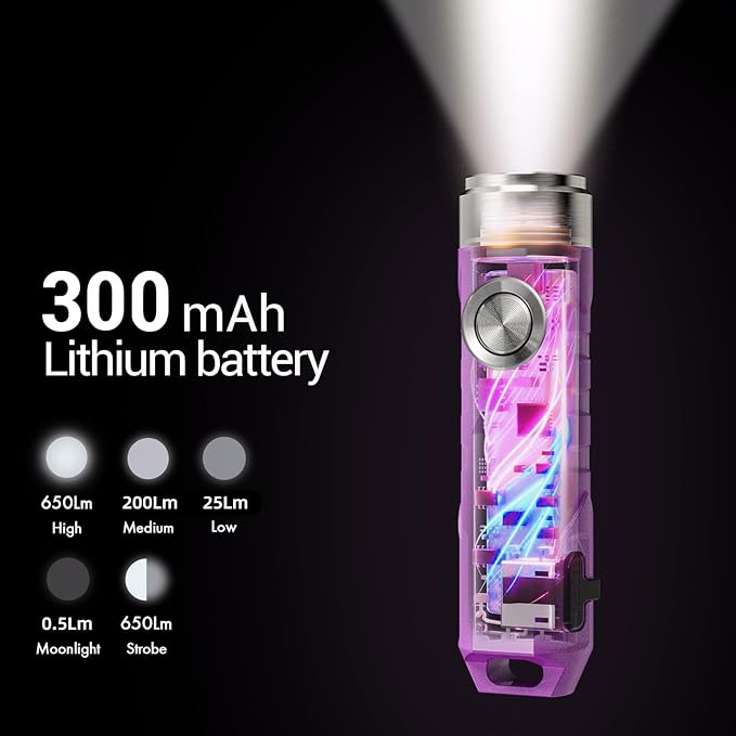 RovyVon Aurora A1 G4 Rechargeable Keychain Flashlights USB C, 650lumens Bright Mini EDC Flashlight