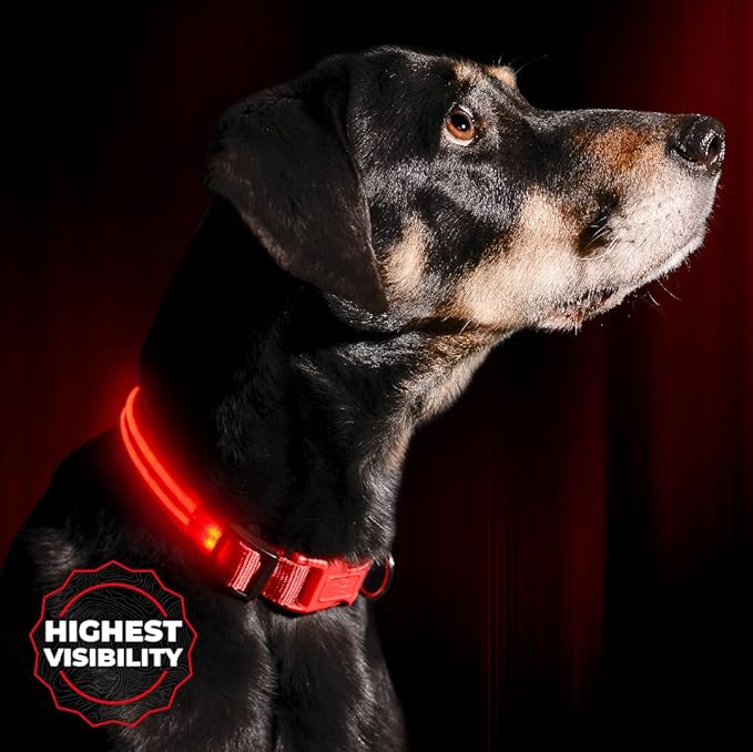 ILLUMISEEN LED Dog Collar USB Rechargeable - Bright & High Visibility Lighted Glow Collar for Pet