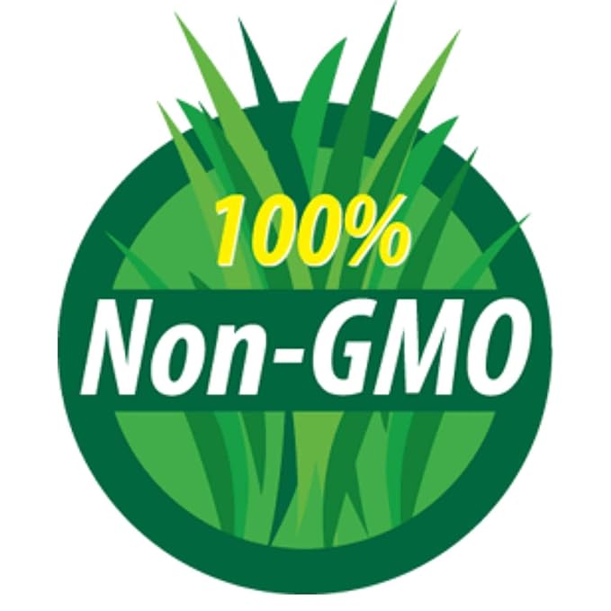 Mung Bean Sprouting Seed: 8 Oz - Organic, Non-GMO - Handy Pantry Brand - Dried Mung Beans for