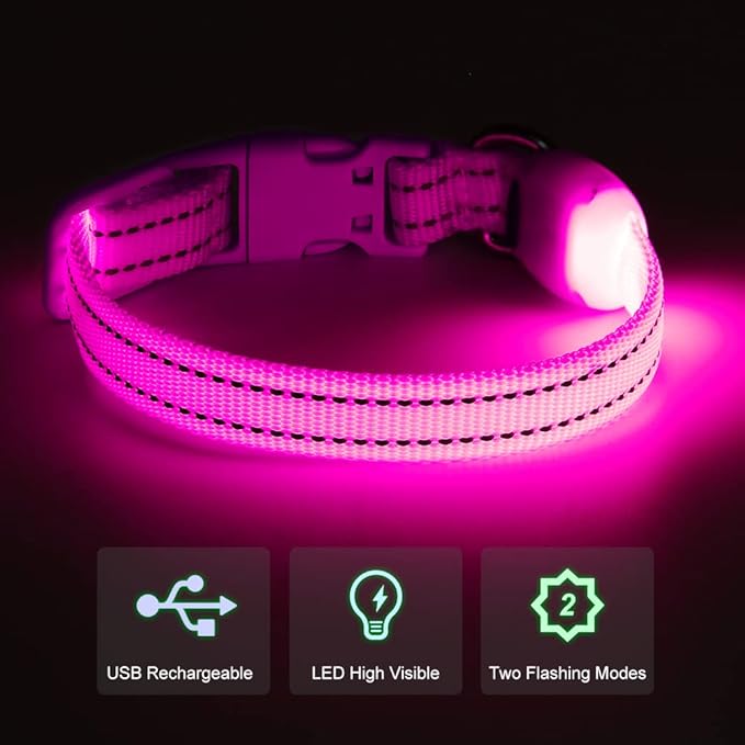 Light Up Dog Collar- Rechargeable Puppy Collars Glow in The Dark LED Dog Collar for Night Walking