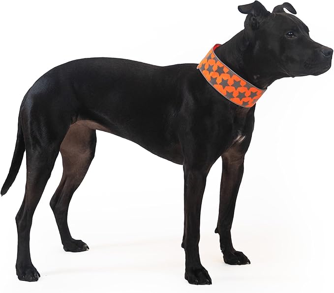 SafetyPUP XD Reflective Dog Collar ??Blaze Orange Dog Collar, Adjustable Closure for a High