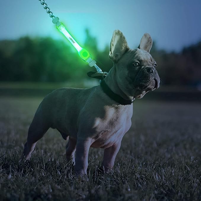 LaRoo Light Up Dog Collar with Nylon Stickers, Universal Glowing Collar Accessories for Leash