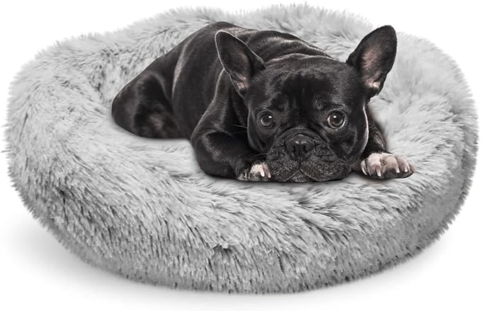 Whiskers & Friends Cat Bed Dog, Cat Beds for Indoor Cats Washable, Orthopedic Soft Fluffy Round