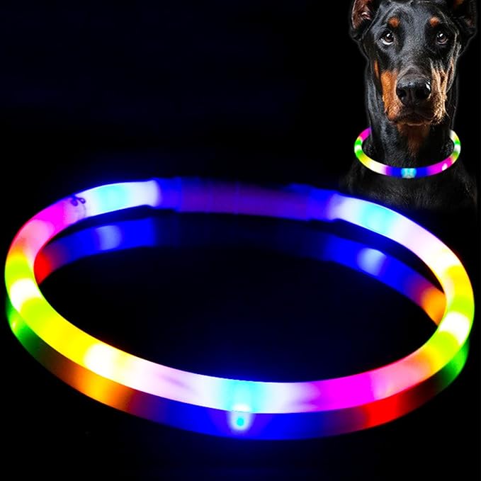 Light Up Dog Collar, Rechargeable Glowing Dog Collar, Light Dog Collar for Night Walking with 1640
