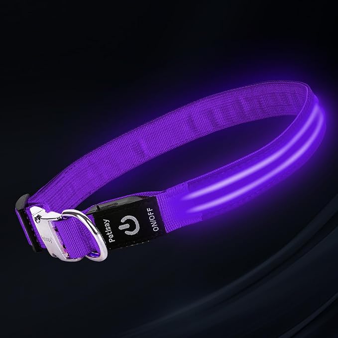 LED Dog Collar with Metal Buckle - USB Rechargeable Glow Collar for Dogs, Waterproof Light Up Dog