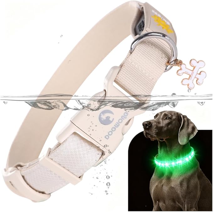 DOGWONG LED Dog Collar - Heavy Duty Light up Collars - Rechargeable Waterproof - Lighted Dog Collar