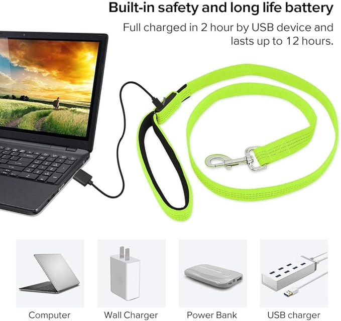 Candofly Glowing LED Dog Leash, Rechargeable Pet Leash with Lights, 4 Ft Light Up Dog Leash for