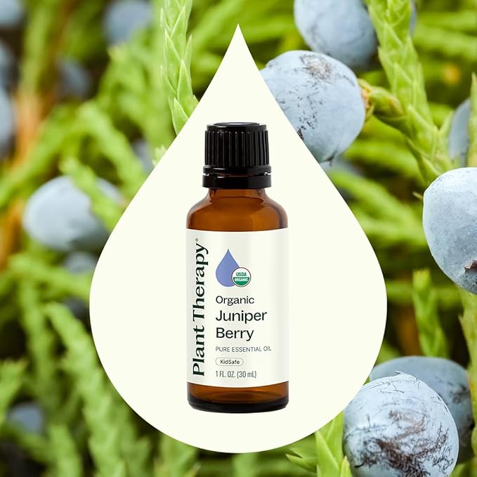 Plant Therapy Organic Juniper Berry Essential Oil 100% Pure, Undiluted, Natural Aromatherapy