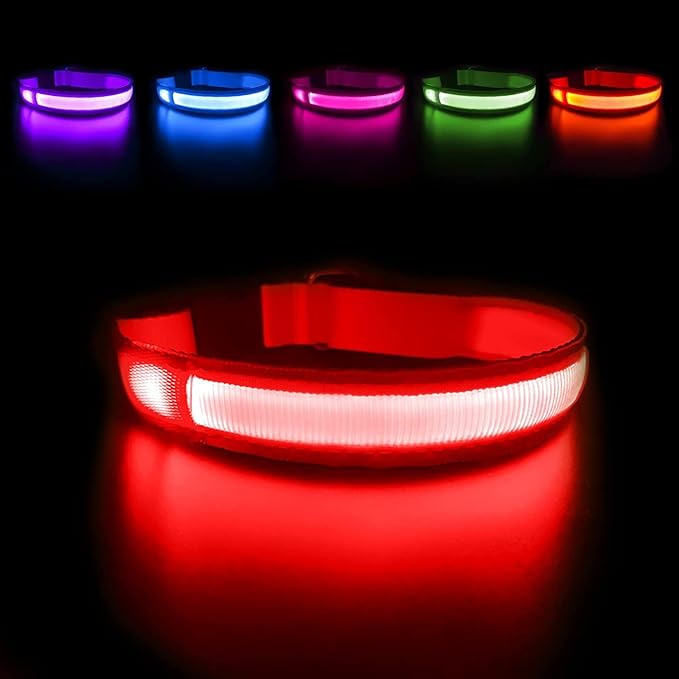 MASBRILL Light Up Dog Collars-LED Dog Collar Rechargeable Waterproof Lighted Dog Collar Night