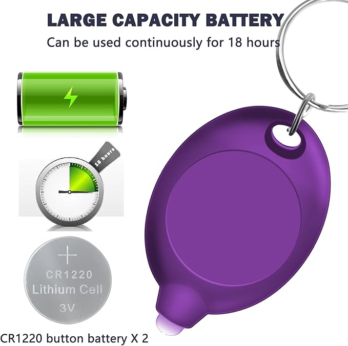 Mini UV Keychain Flashlight, Portable Black Light, 12 Lumen Ultra Bright Tiny Flashlight, Small