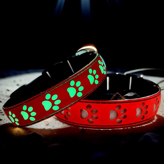 LED Light Up Dog Collar, USB-C Rechargeable, Multicolor Paw Print Design, 15 Modes Lighting Night